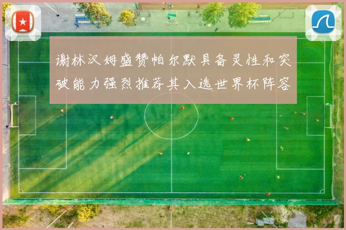 谢林汉姆盛赞帕尔默具备灵性和突破能力强烈推荐其入选世界杯阵容