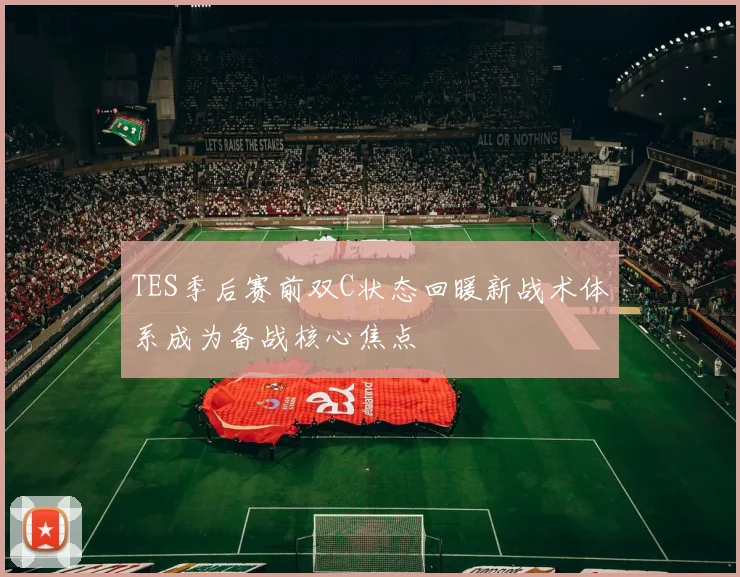 TES季后赛前双C状态回暖新战术体系成为备战核心焦点